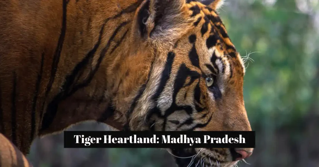 Top-50 Travel List for 2026