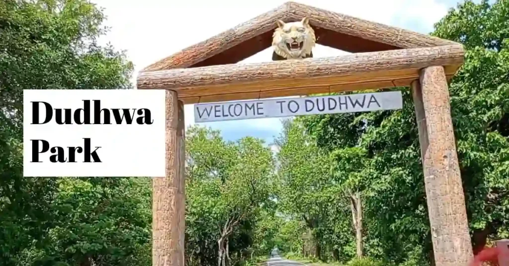 8k tourists visited Dudhwa Park