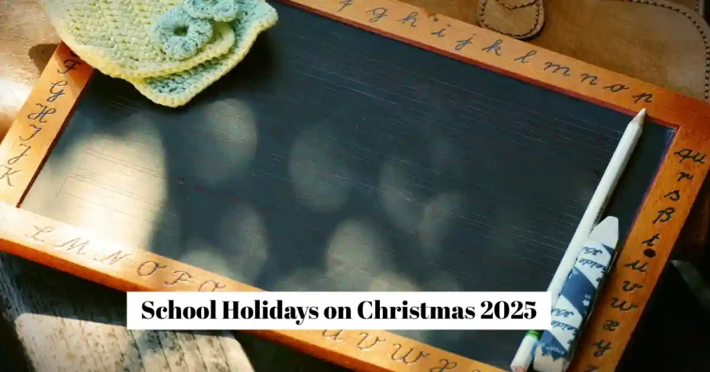 A long Christmas 2025 weekend this time! Find out how many state-wise holidays schools will receive